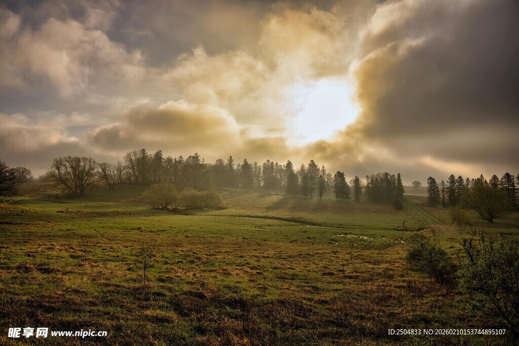 日出时分的广袤原野风光