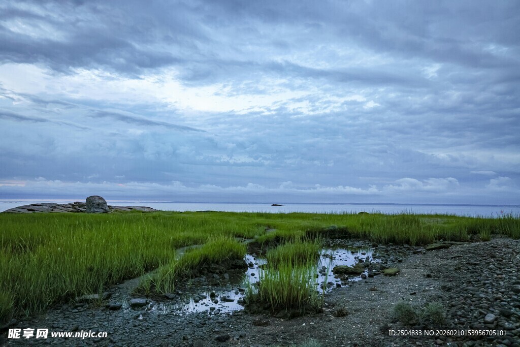 湿地风光 云下的自然景致