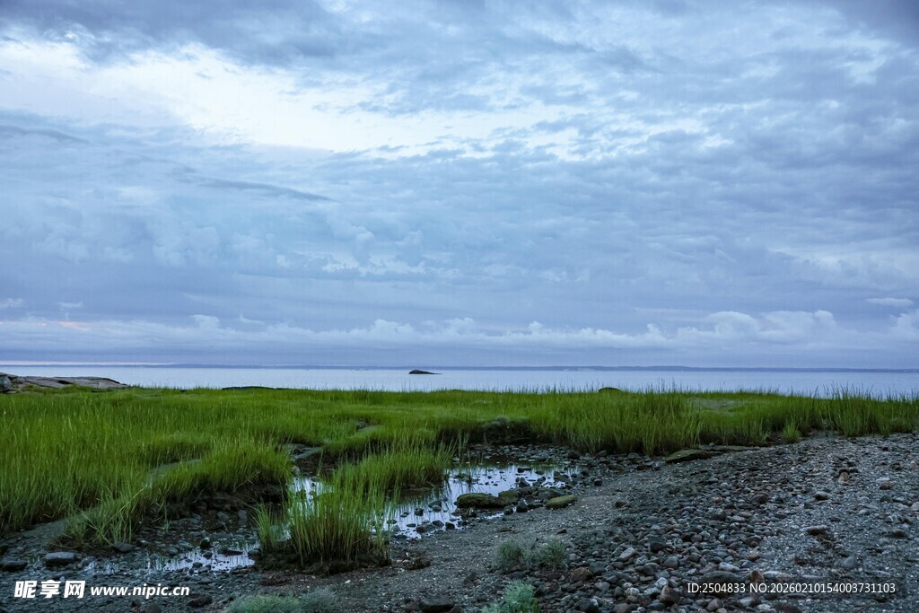 海边湿地景观