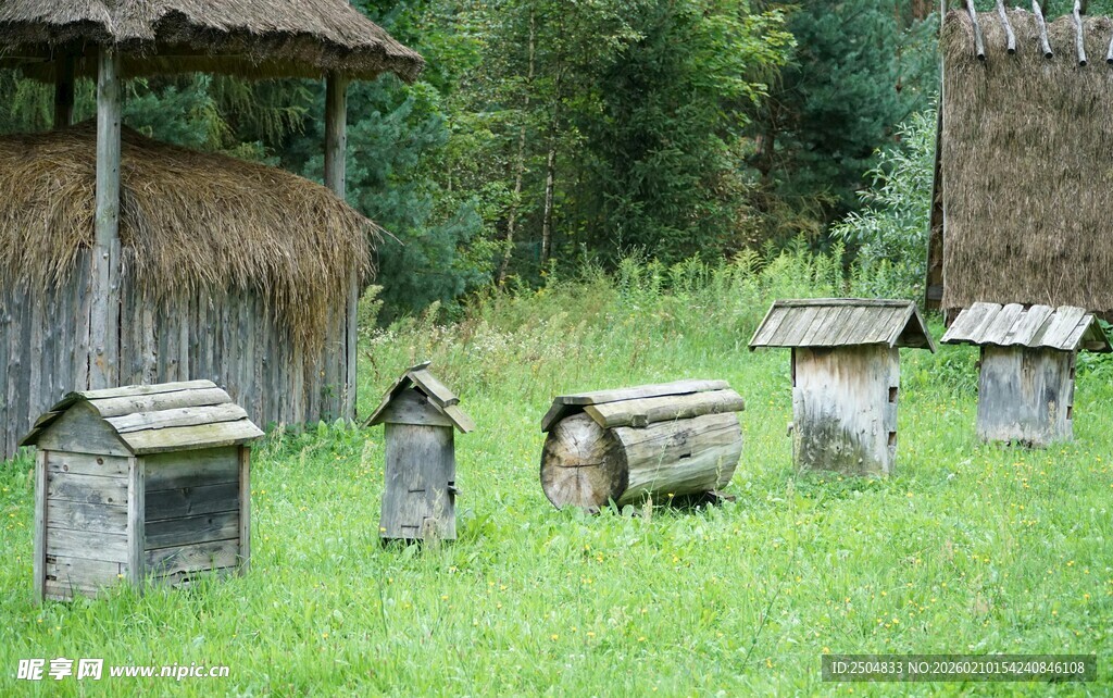 草地上的多个古朴蜂箱