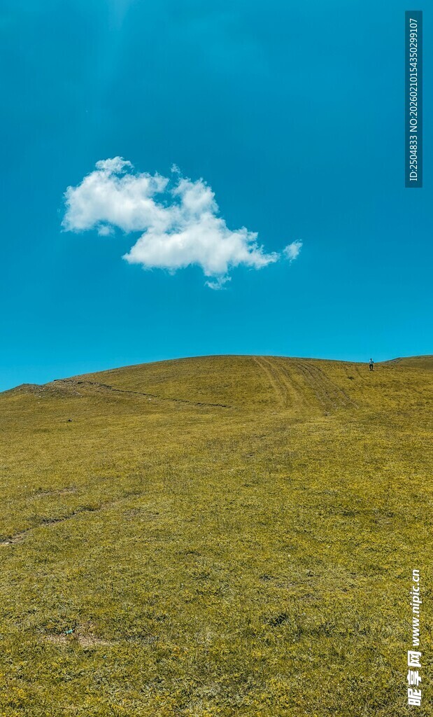 草原上的孤云