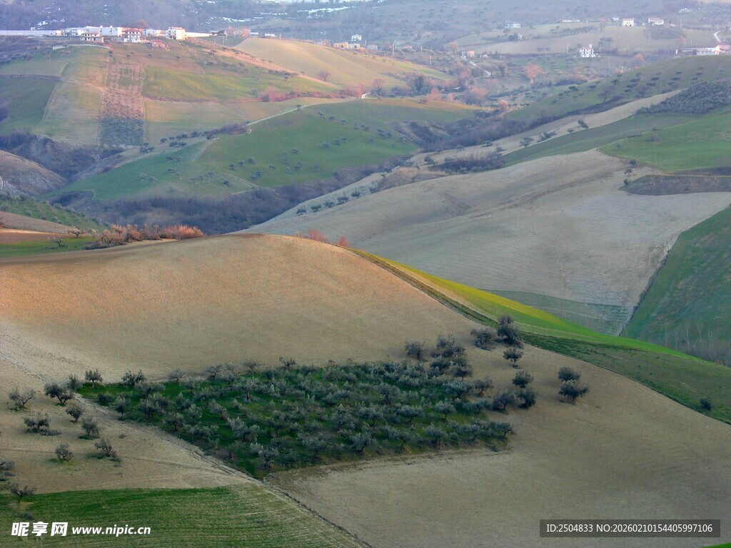 俯瞰广袤田野与树木景观
