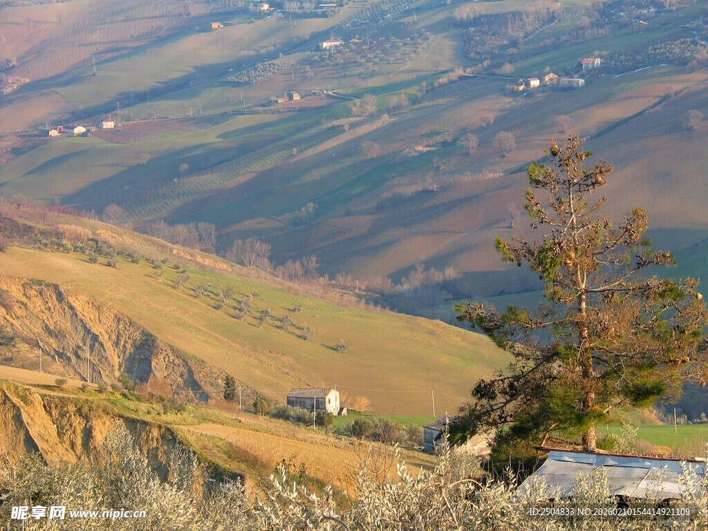 山间美景 孤树挺立