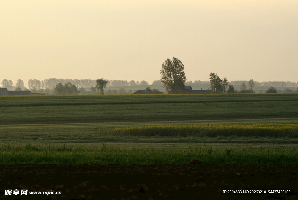 黄昏下的广袤田野风光