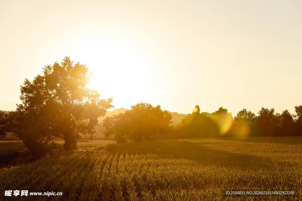 夕阳下的田野风光