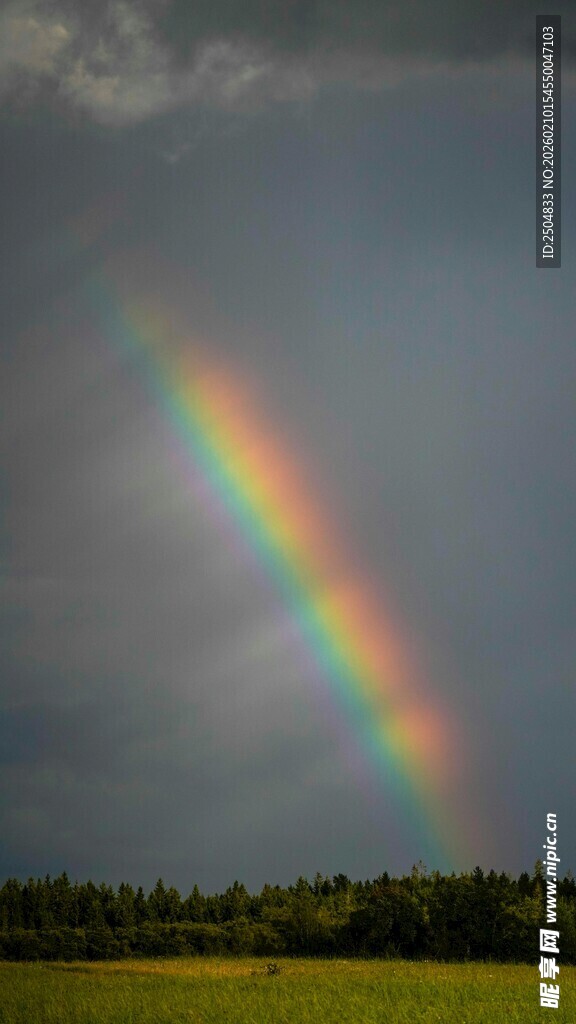 田野上空的绚丽彩虹