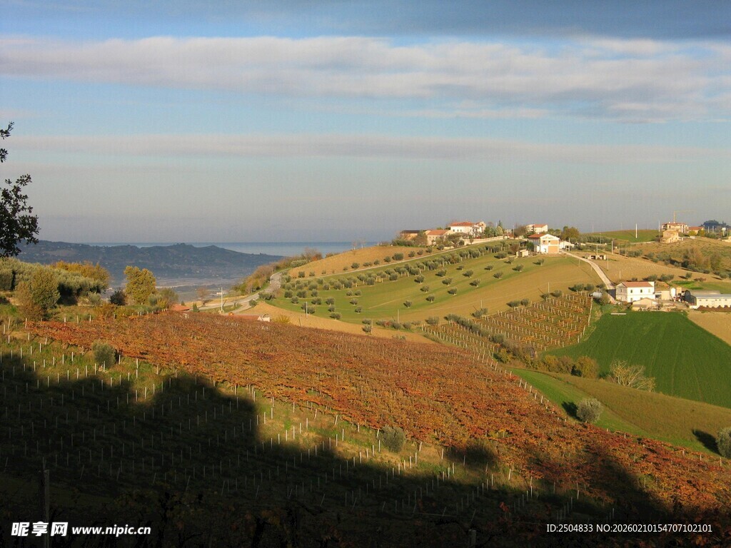 田园风光下的宁静乡村景色