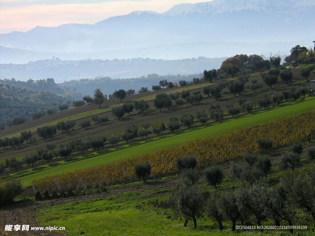 田园风光中的山丘与植被