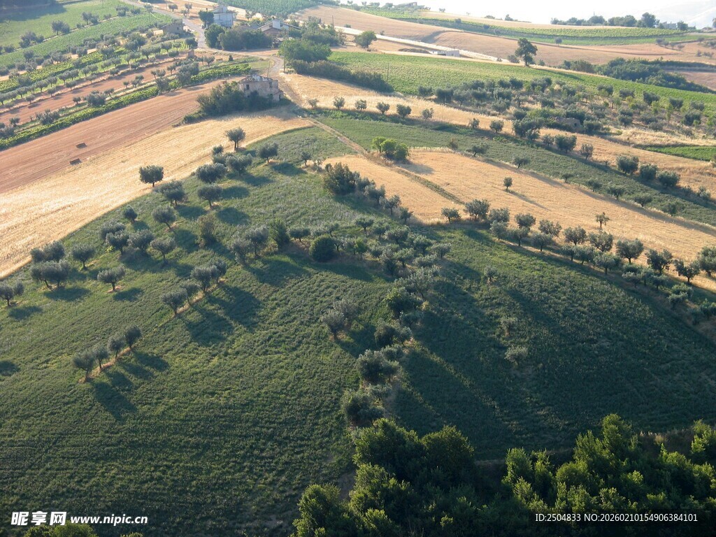 俯瞰广袤田野与树林景观