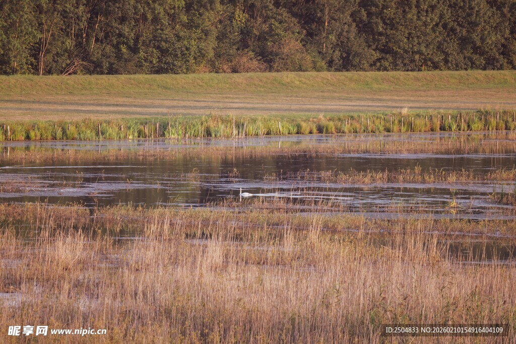秋日湿地风光