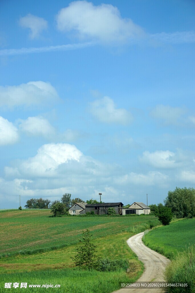 乡村田野间的蜿蜒小路