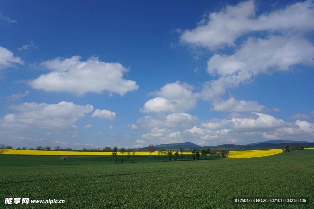 田园风光 蓝天白云下的田野