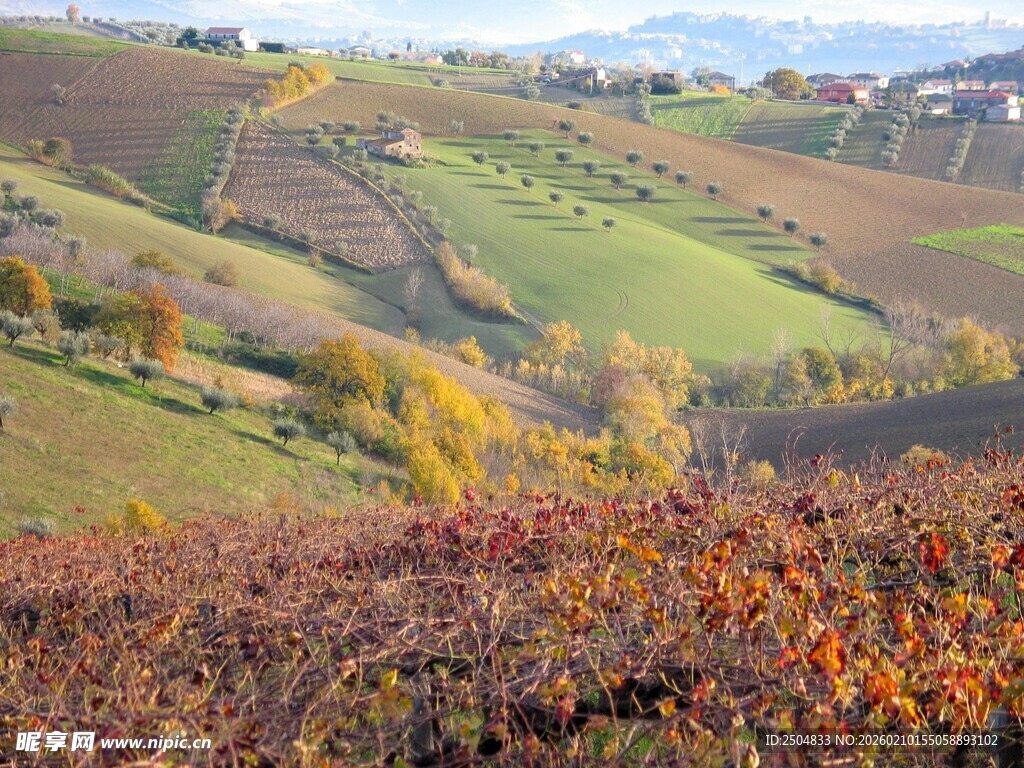 秋日丘陵田园风光美景