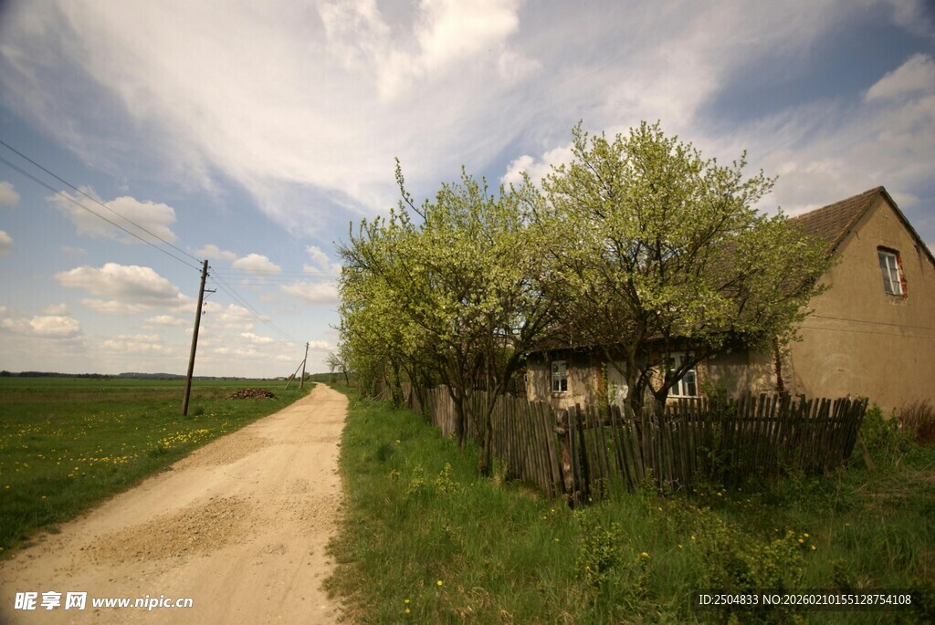 乡村小路旁的温馨小屋