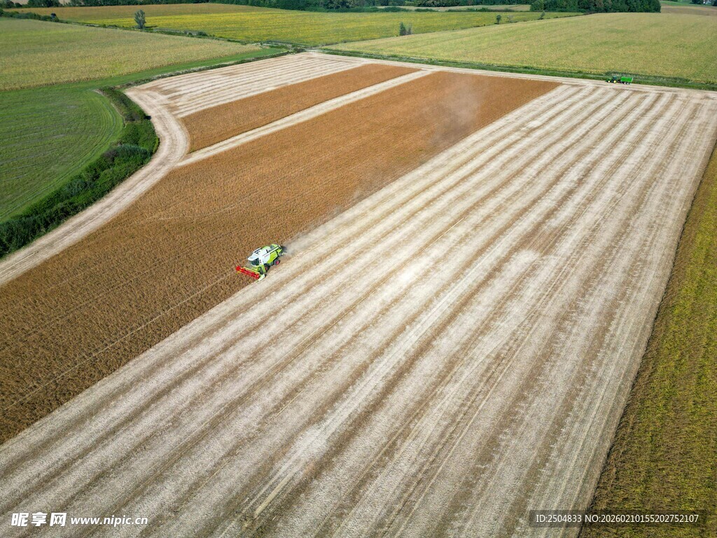 农田地膜覆盖俯瞰景象