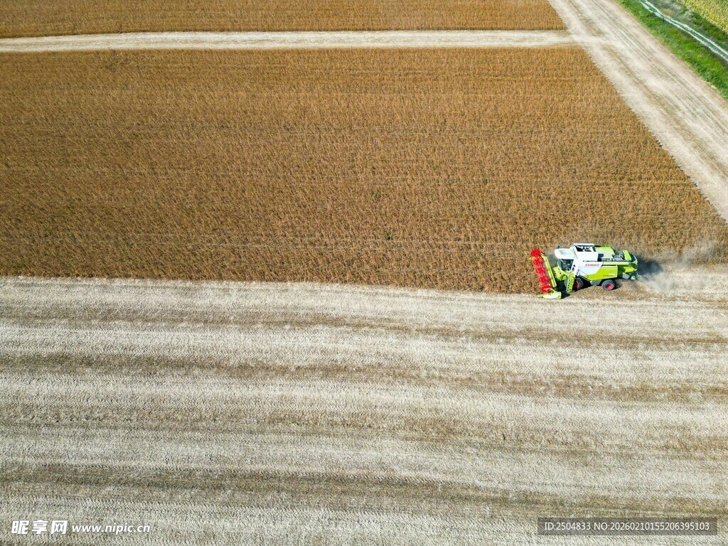 麦田里的联合 割机作业