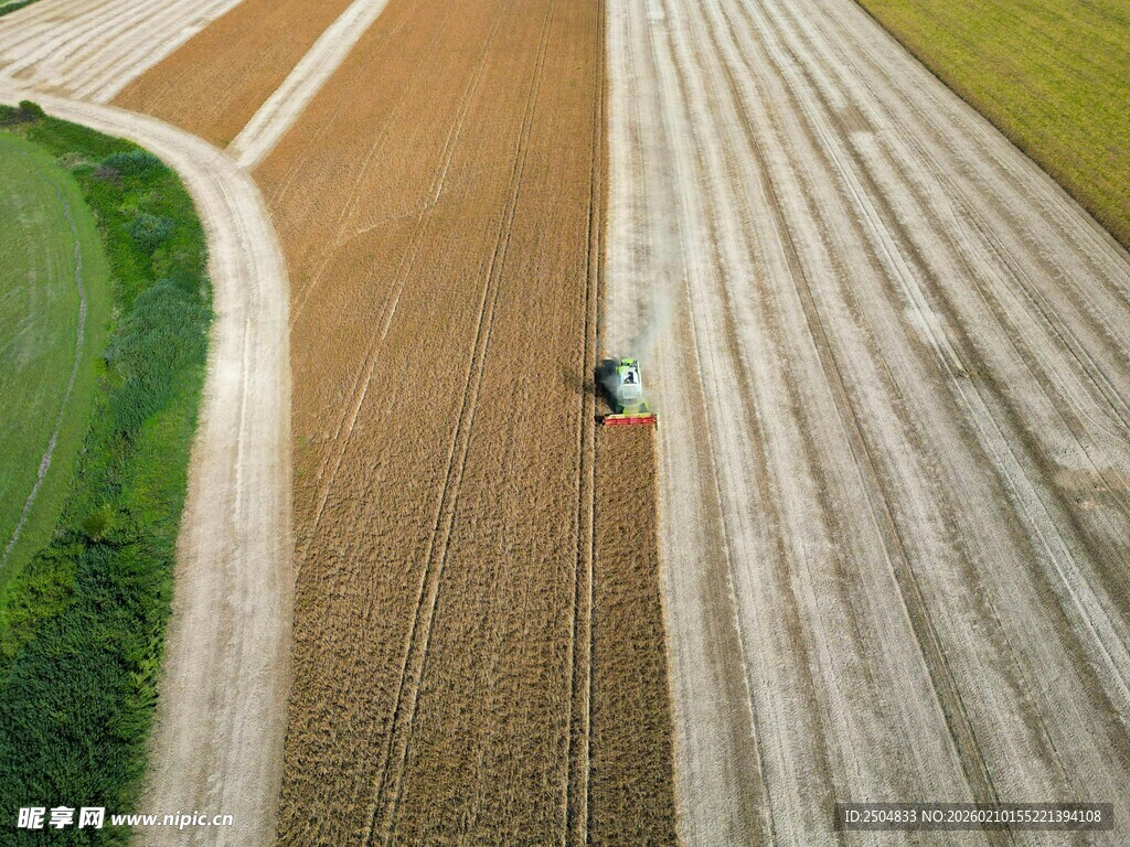 农田中独自劳作的耕耘者