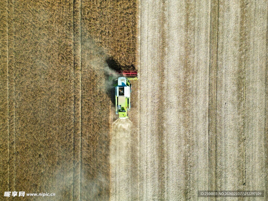 麦田中作业的联合 割机