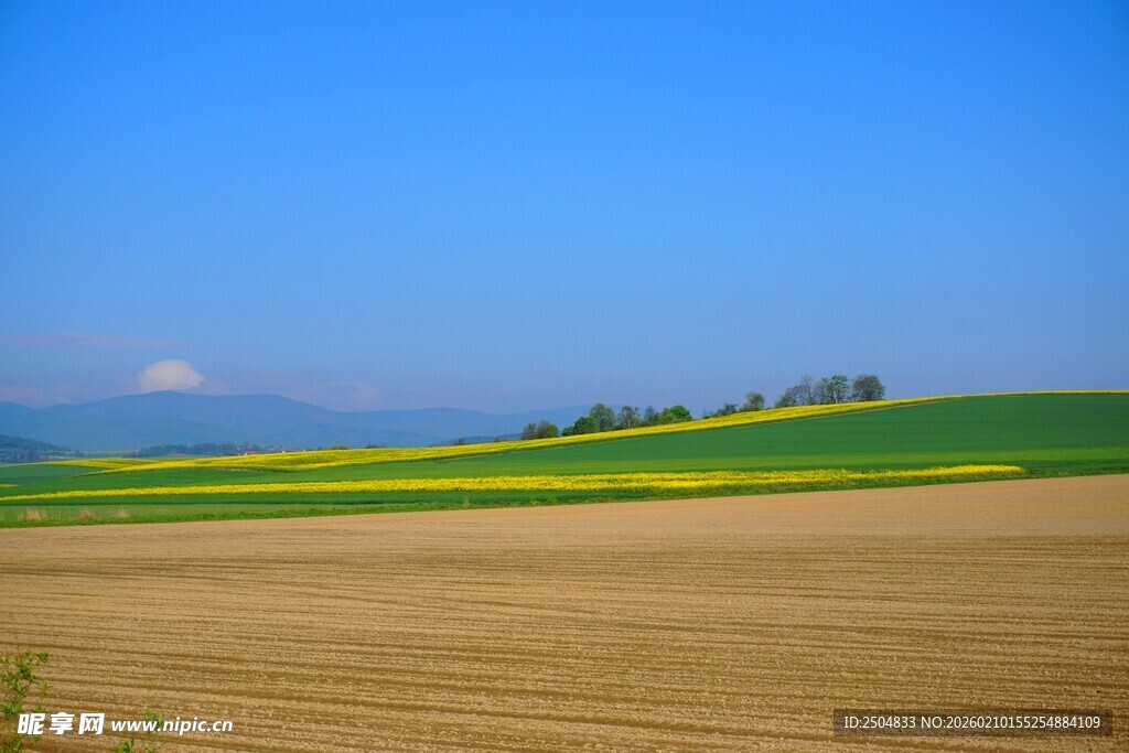 田园风光 广袤田野与蓝天