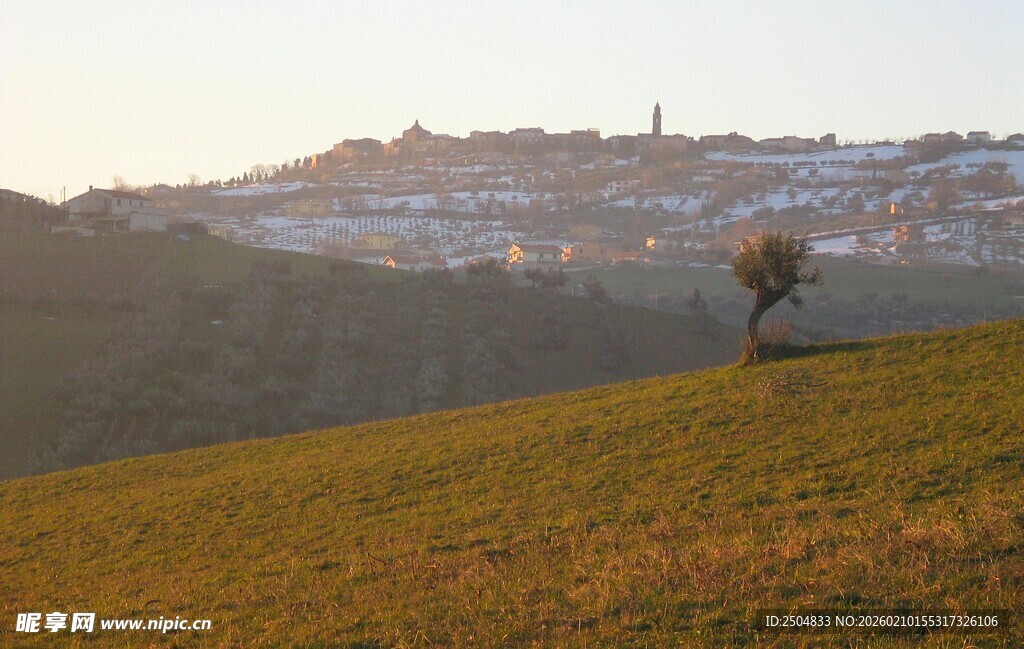 草原孤树与远处城镇风光