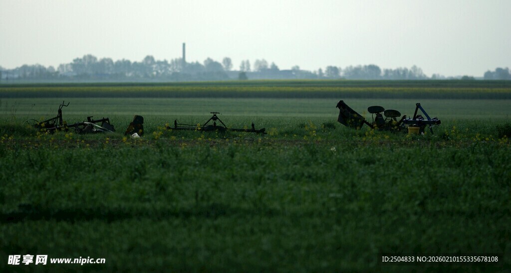 草原上的马群与远处建筑