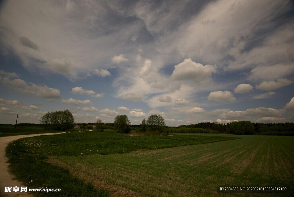 田园风光中的蜿蜒小路