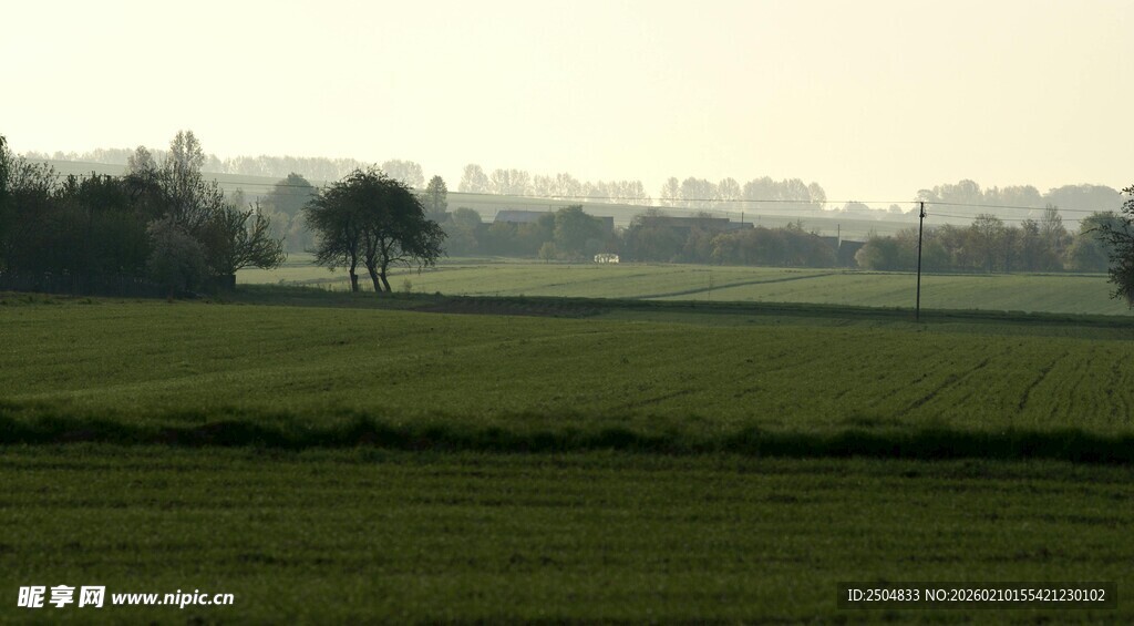 田野晨景