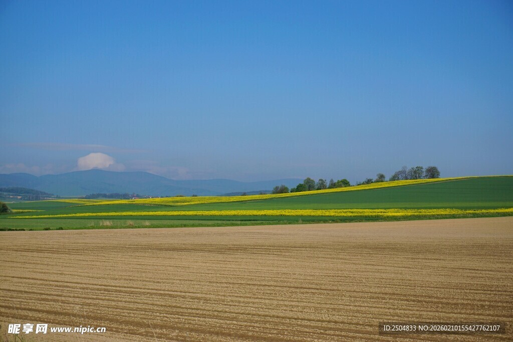 田野风光 广袤大地美景