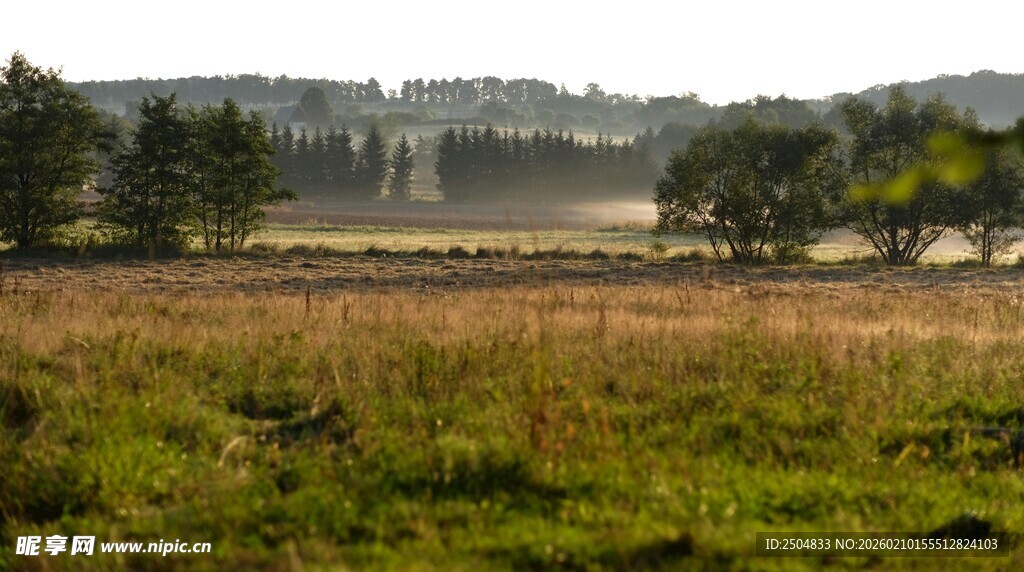广袤原野上的树木与草地