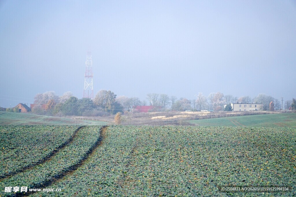 田野风光 车辙印延伸远方