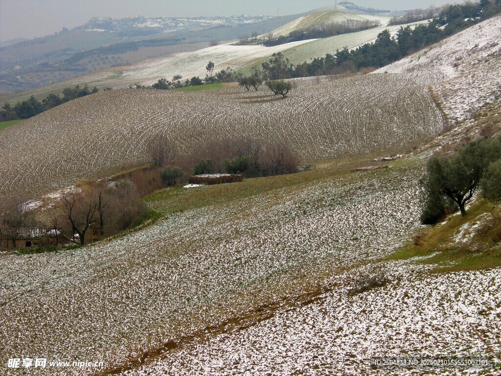 雪覆田野丘陵美丽景致