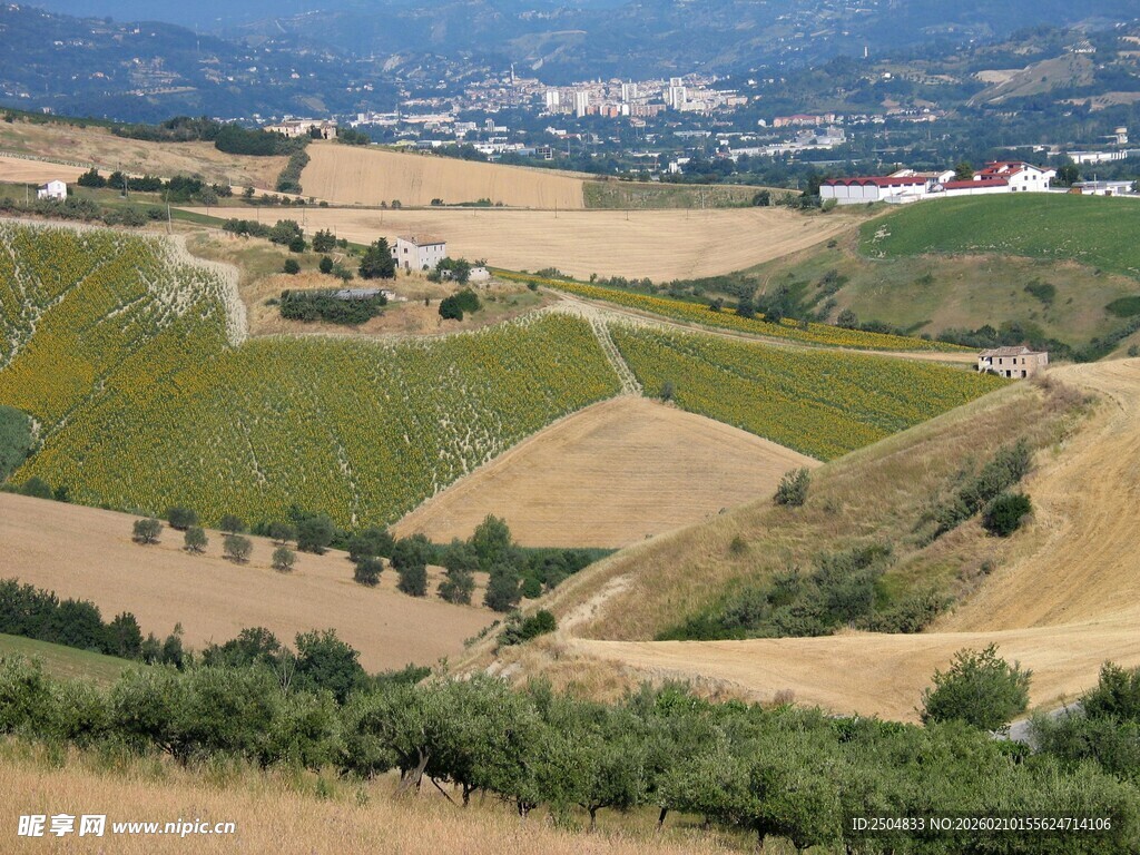 田园风光俯瞰图