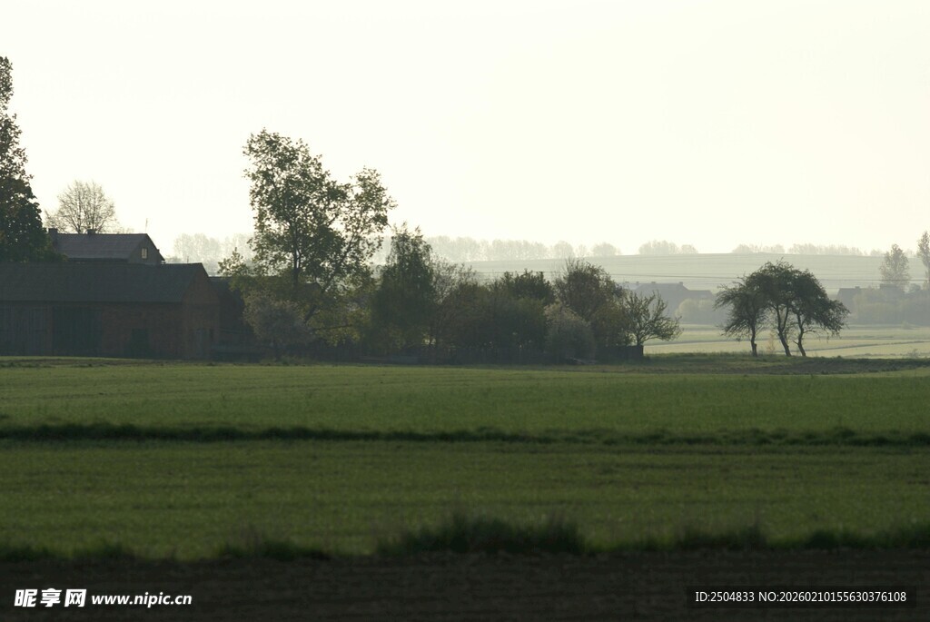 田园风光中的宁静田野