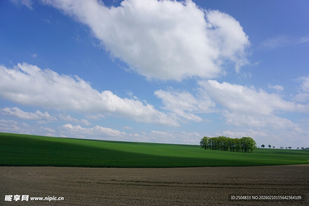 田园风光 蓝天白云下的田野