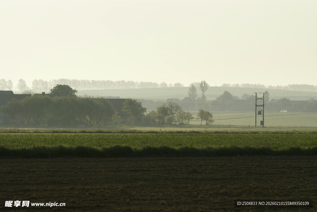 晨雾中的田野与远处景物