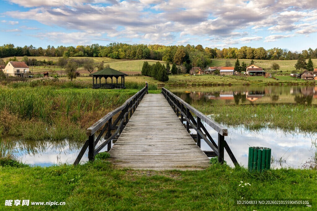 乡村木桥畔的宁静风光