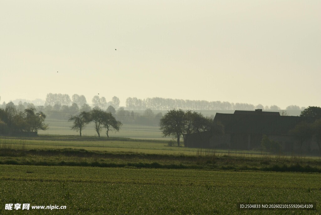 田野风光中的远处城市轮廓