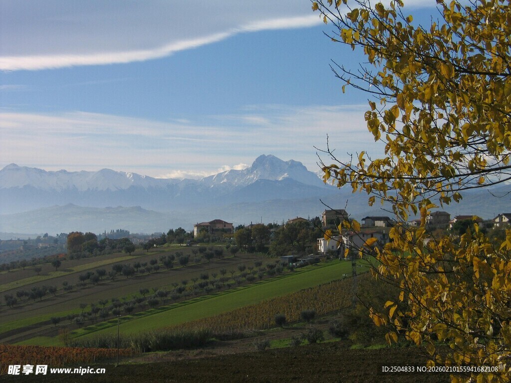 田园风光中的远山与树木