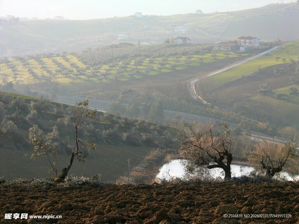 田园风光中的蜿蜒道路