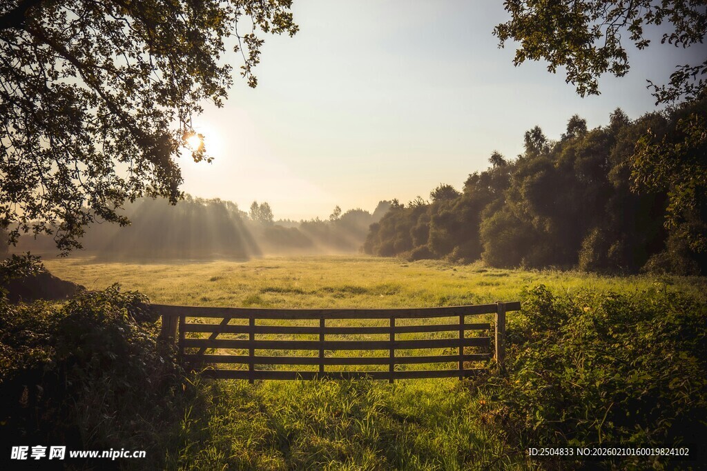 阳光照耀下的林间木栅栏