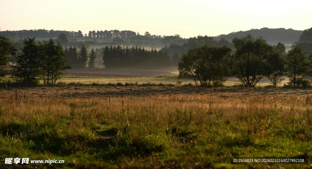 田野晨景 静谧自然之美