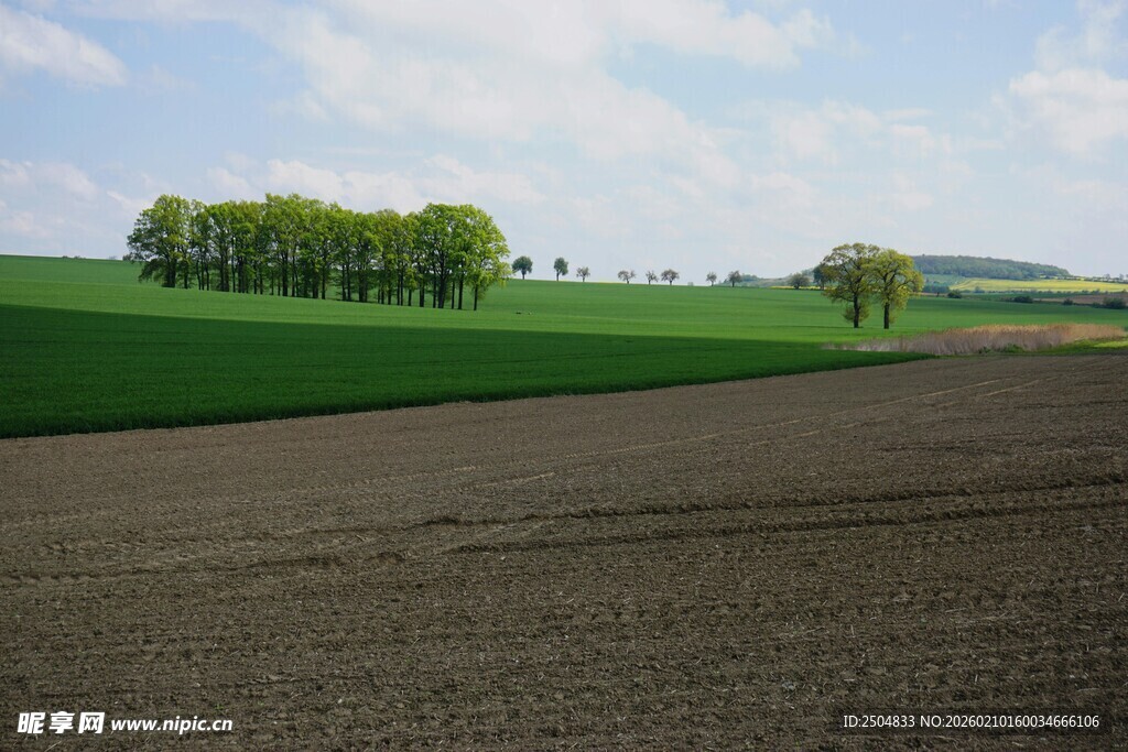 田野风光 绿意盎然的大地