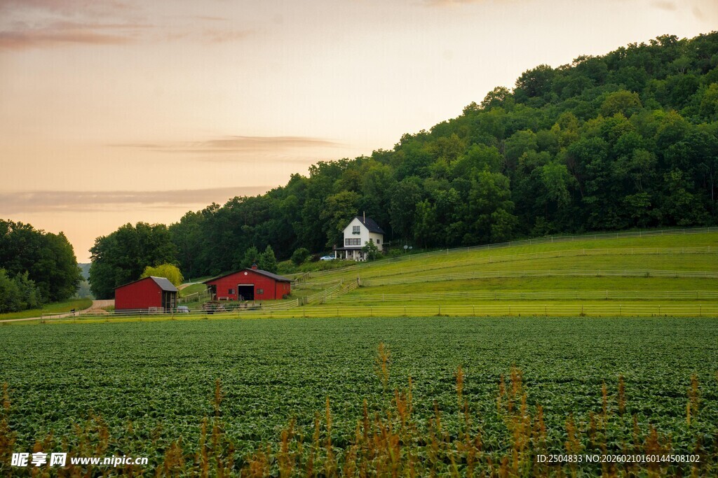 田园风光中的乡村景致