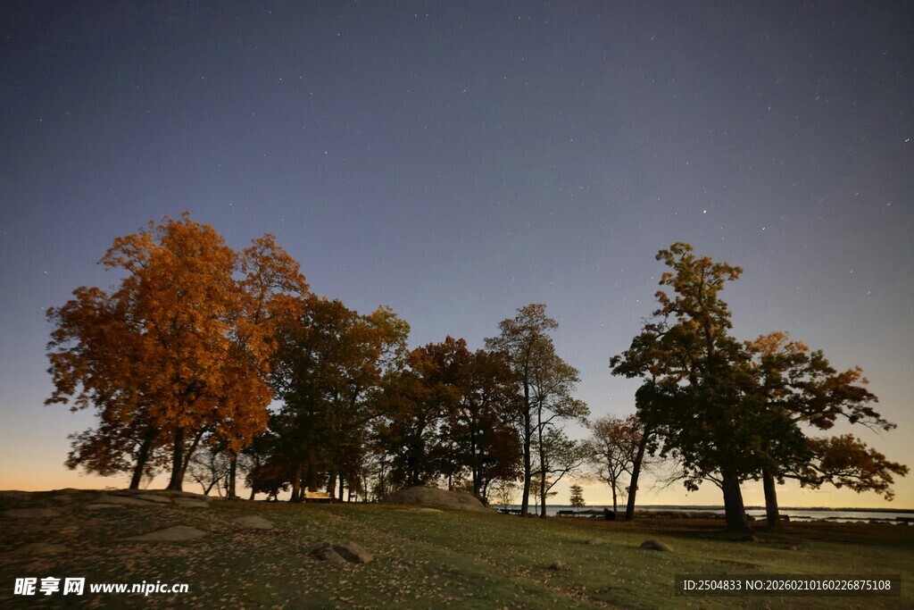 秋日多彩树林风景