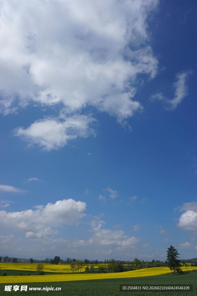 蓝天田野间的绚烂风光