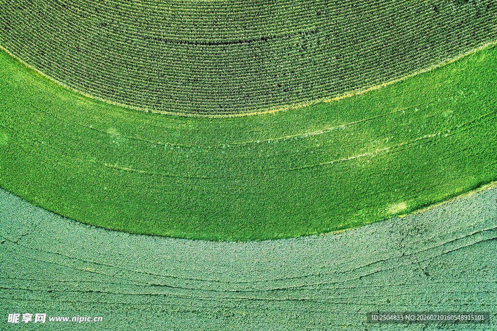 俯瞰翠绿田野景观