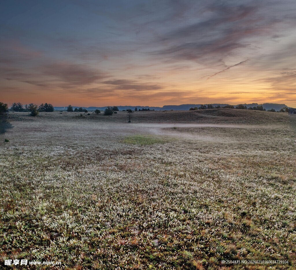 黄昏下的广袤田野风光
