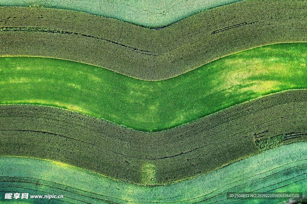 梯田美景 大地的绿色韵律