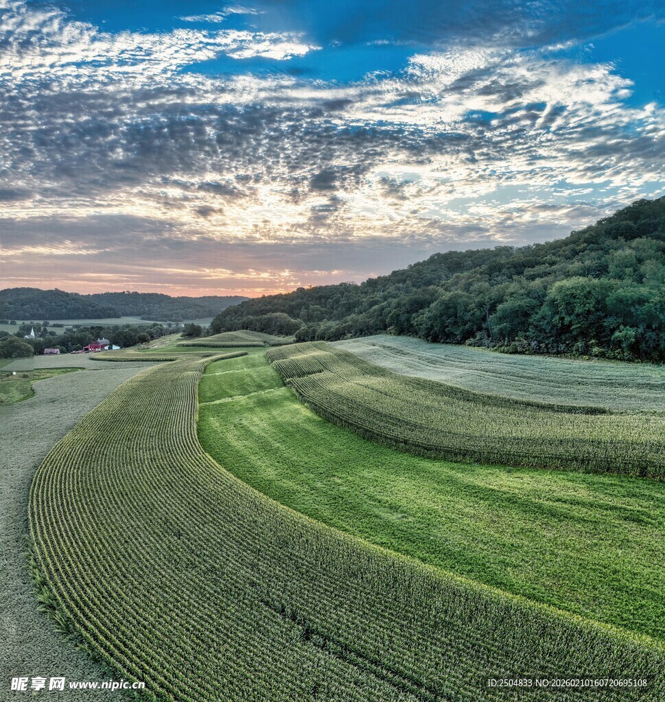 田园风光中的美丽田野景色