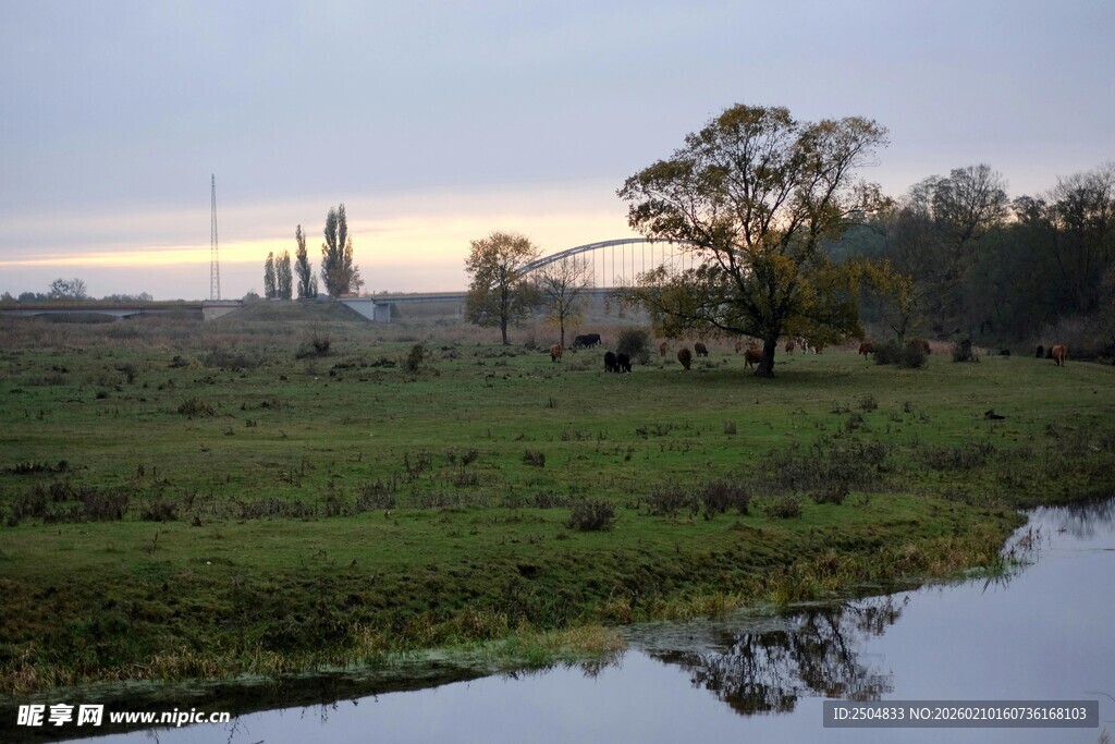 田园河畔的静谧晨光
